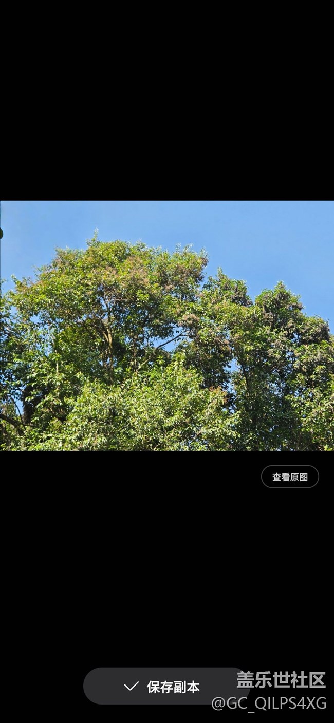 【AI玩生成式编辑】消除树叶