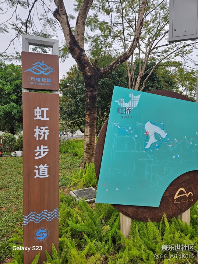 【活动回顾】虹桥红桥