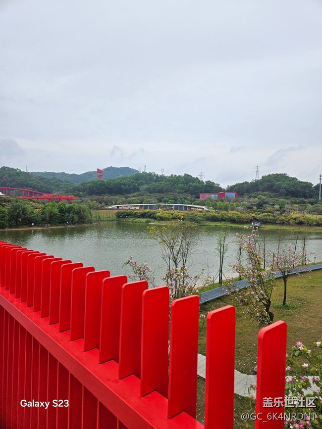 【活动回顾】周末的虹桥