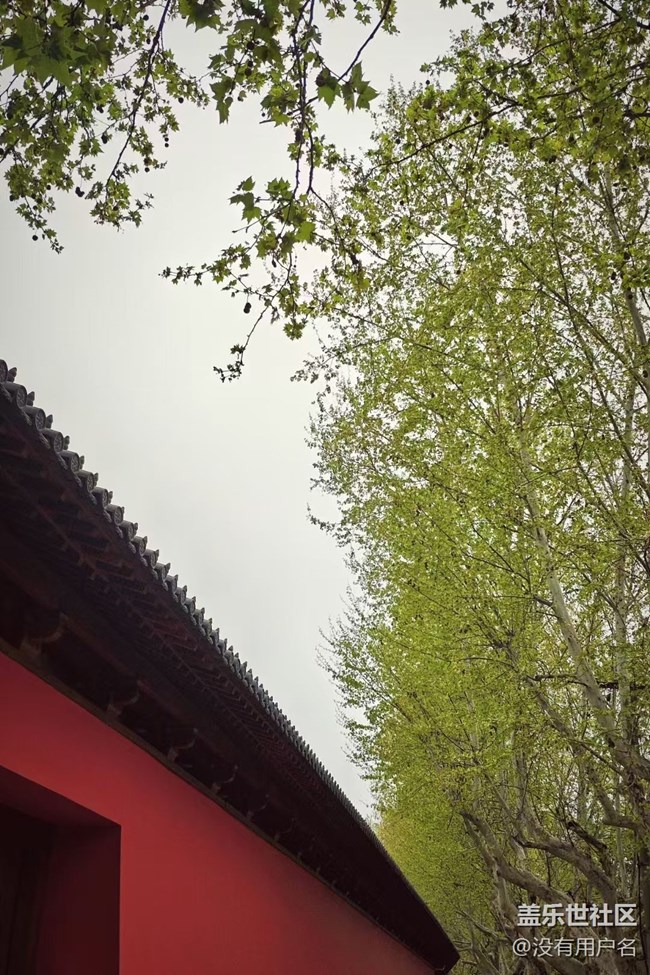 【春游记】暴走