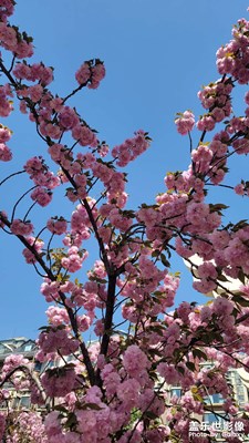 小区春天里
