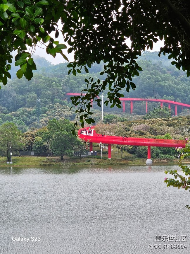 【活动回顾】虹桥公园
