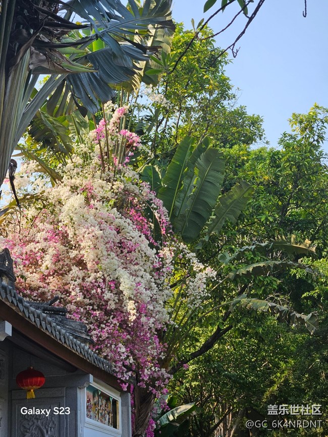 【春日盛景】溜春天