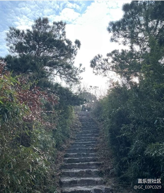 【春色撩人】春天爬山
