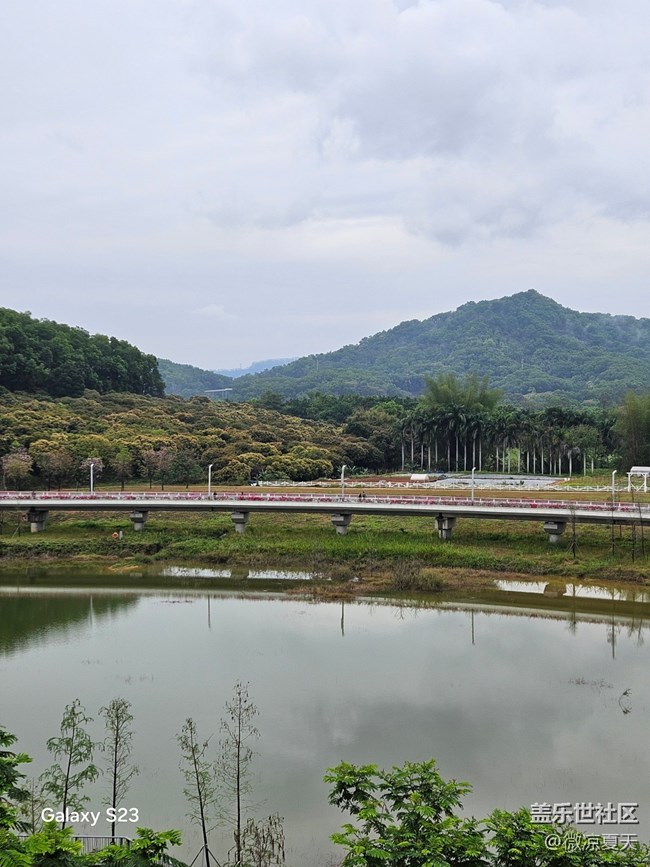 【活动回顾】虹桥公园