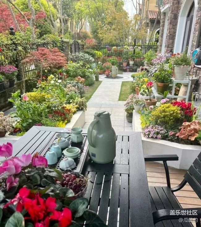 【春日盛景】后花园