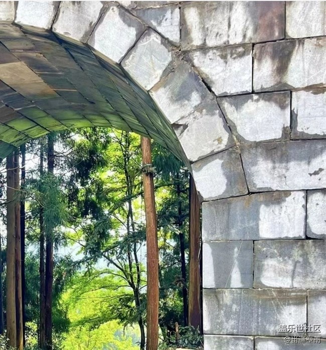 【春日盛景】一抹绿