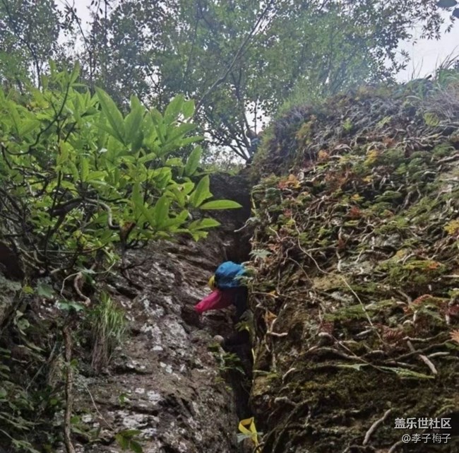 【春日盛景】周末爬山