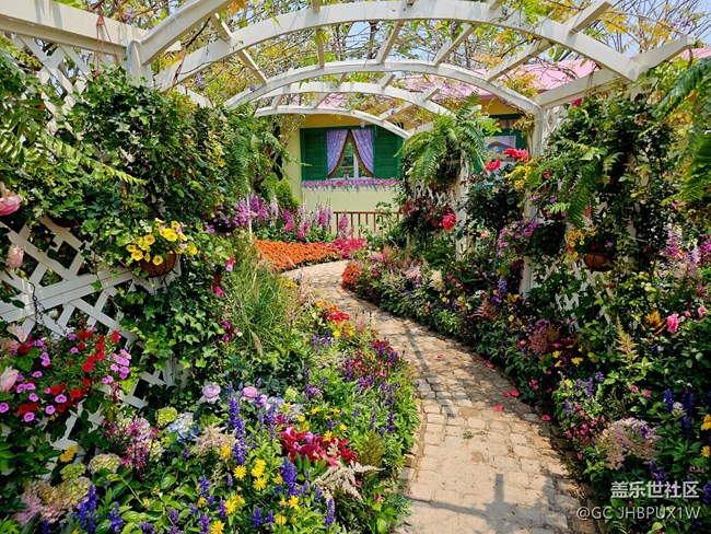 【早春物语】花园