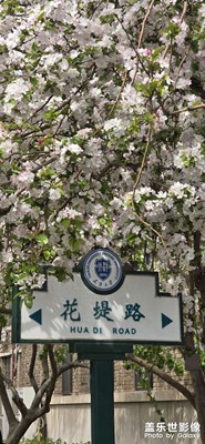 感受一下春天