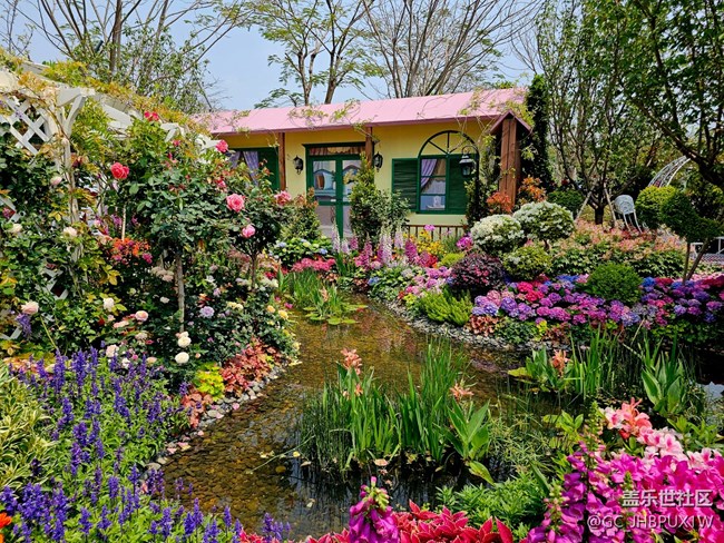 【早春物语】花园