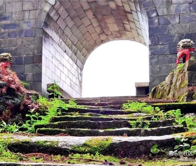 【春日盛景】一抹绿