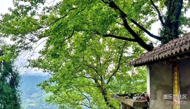 【春日盛景】一抹绿