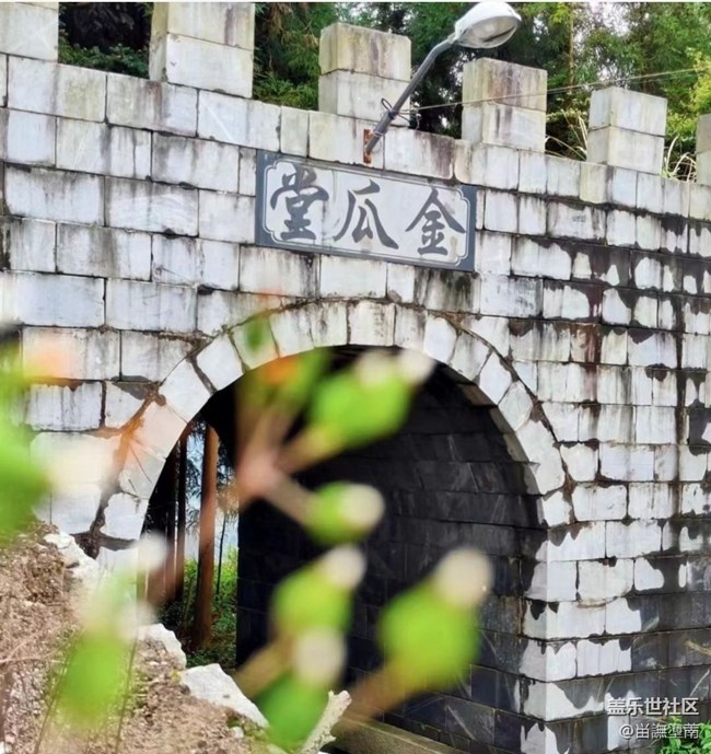 【春日盛景】一抹绿