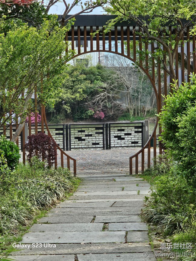 【清明踏春季】公园春色