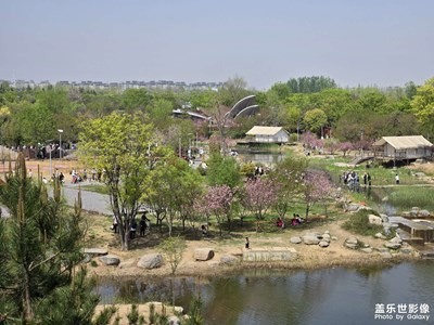 【人间四月天】+绿水蝌蚪