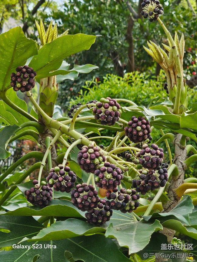 【清明踏春季】公园春色