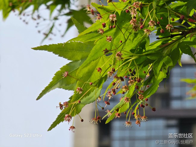 【清明踏春季】公园春色