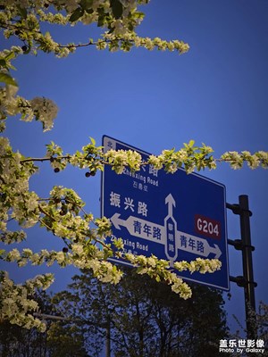 【春之夜】山楂树下