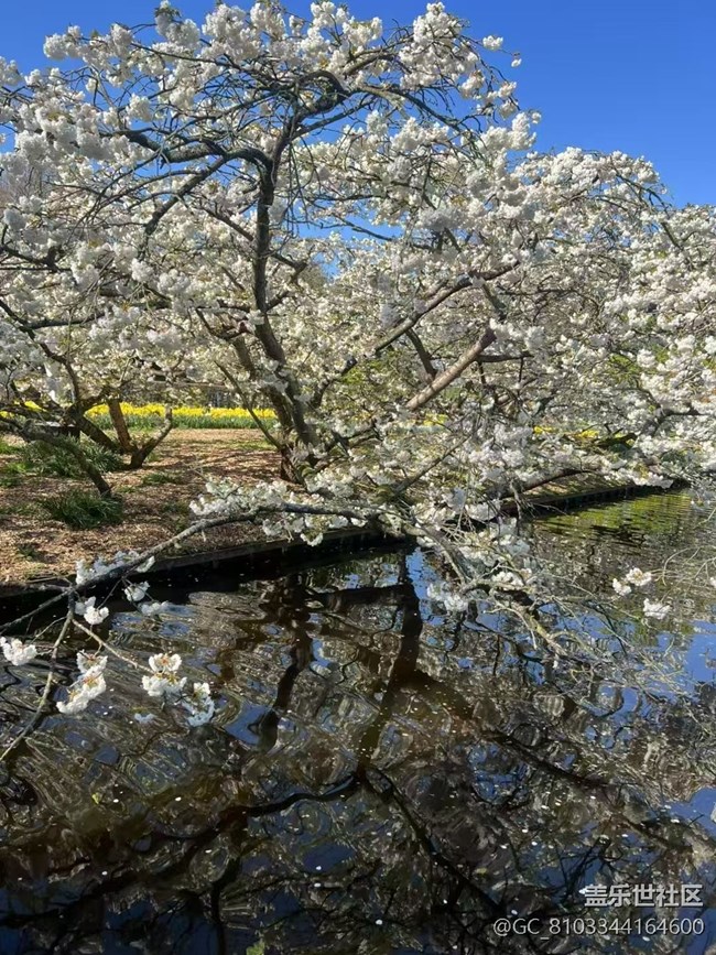 【春色撩人】撩人春色