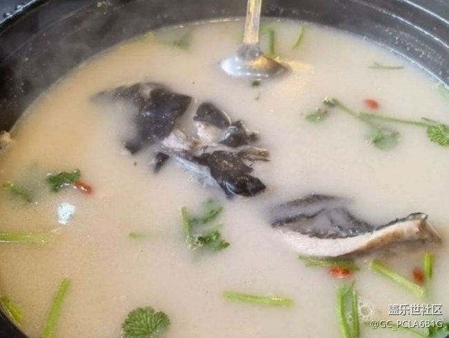 【尝鲜正当食】砂锅鱼头