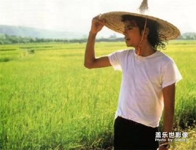 不冷不热