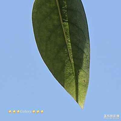 【慢想时光】+自在由天