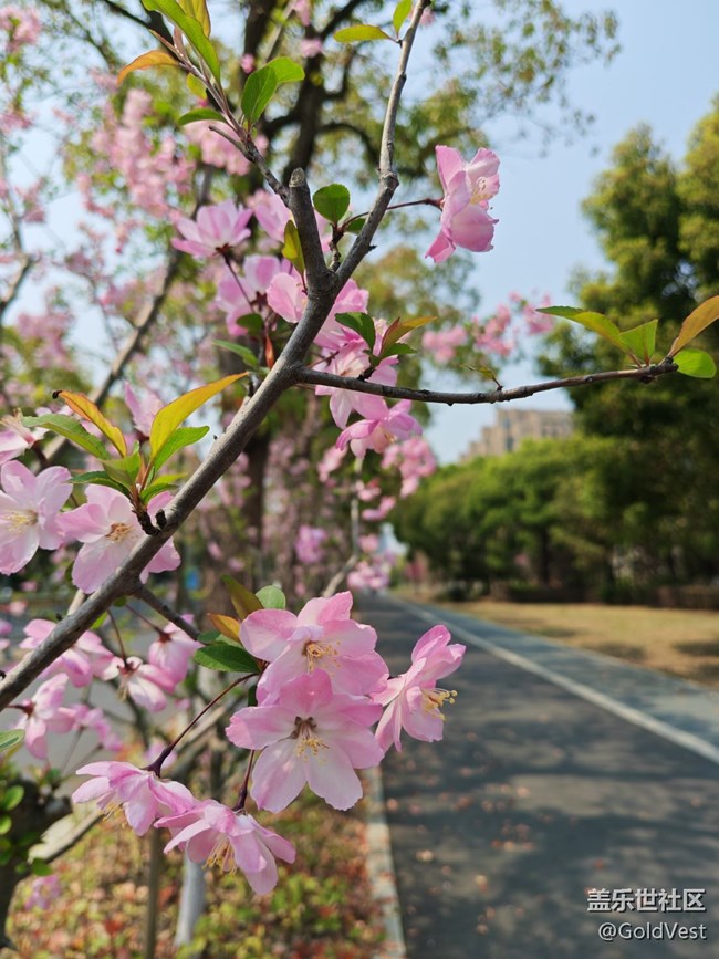 【四月春】走，赏花去！