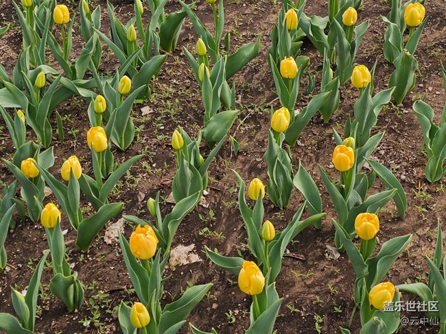 【拈花拾趣】零散