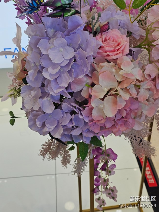 【拈花拾趣】室中之花