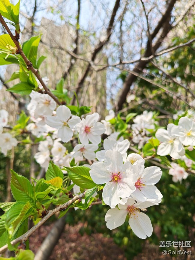 【四月春】走，赏花去！