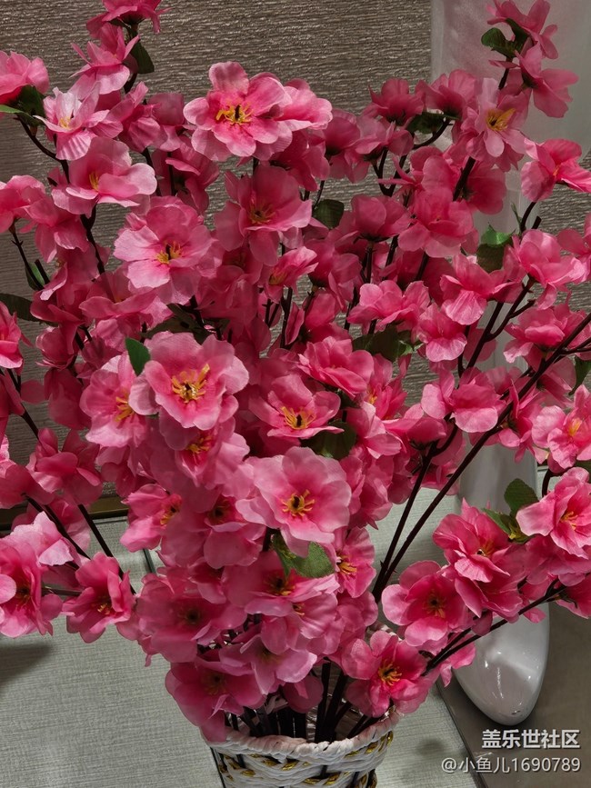 【拈花拾趣】室中之花