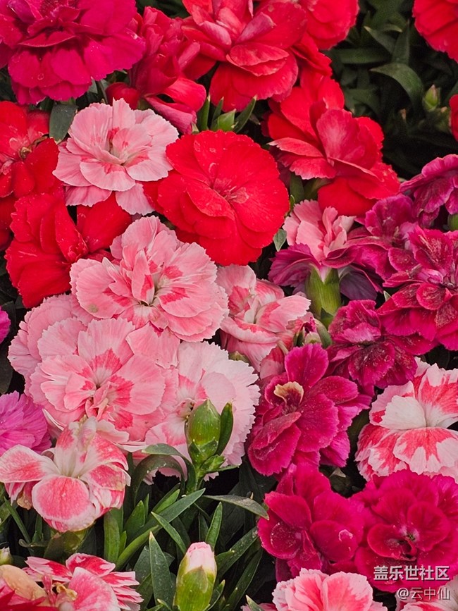 【拈花拾趣】花艺