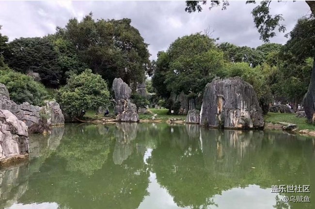 【春色撩人】石林风景