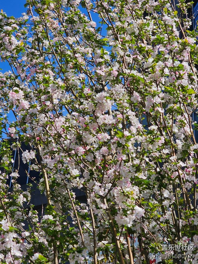 【拈花拾趣】落零
