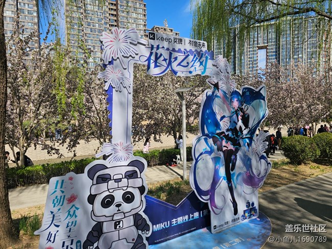 【拈花拾趣】花与建筑