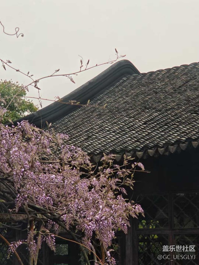【春天的故事】春日花事,邂逅浪漫 【春天的故事】春日花事,邂逅浪漫