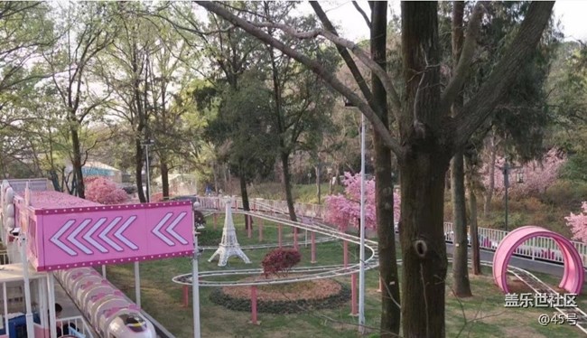 【春日盛景】春花开