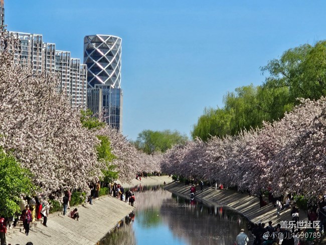 【拈花拾趣】花与建筑