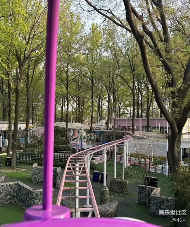 【春日盛景】春花开