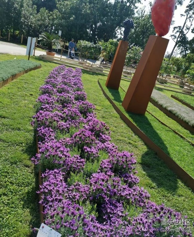 【春日盛景】公园