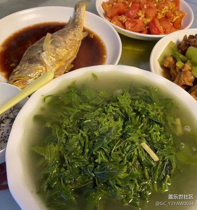 【尝鲜正当食】山珍