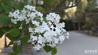 春暖花开