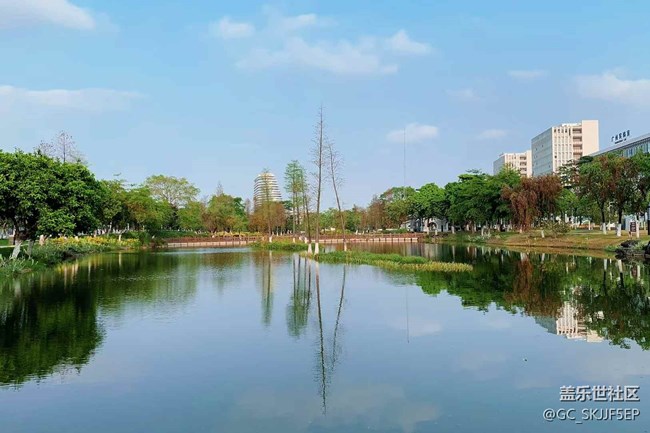 【春天的故事】城中园景，诗意栖居