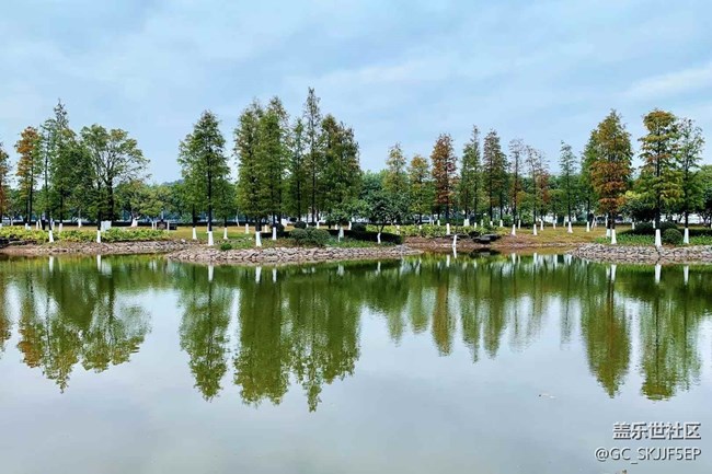 【春天的故事】城中园景，诗意栖居
