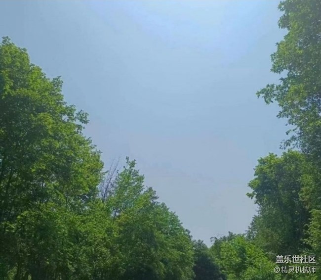 【春色撩人】去郊野