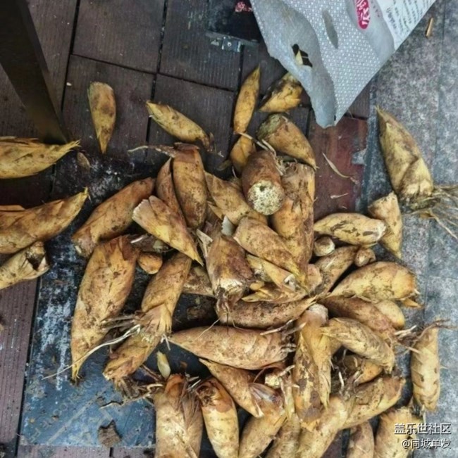 【尝鲜正当食】鲜美春笋