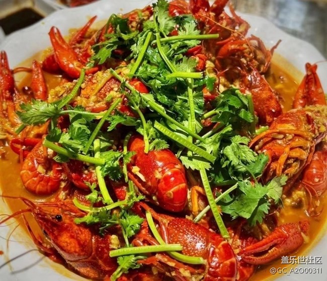 【尝鲜正当食】小龙