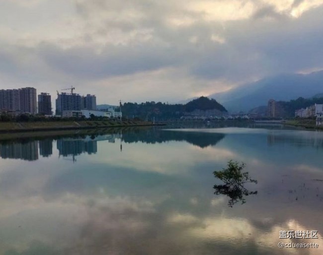 【春色撩人】清晨丽景