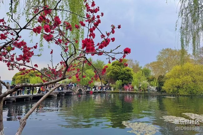 【春日盛景】江南春